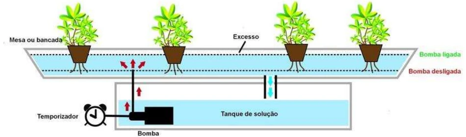 Sub-irrigation diagram with bench, solution tank, pump and timer